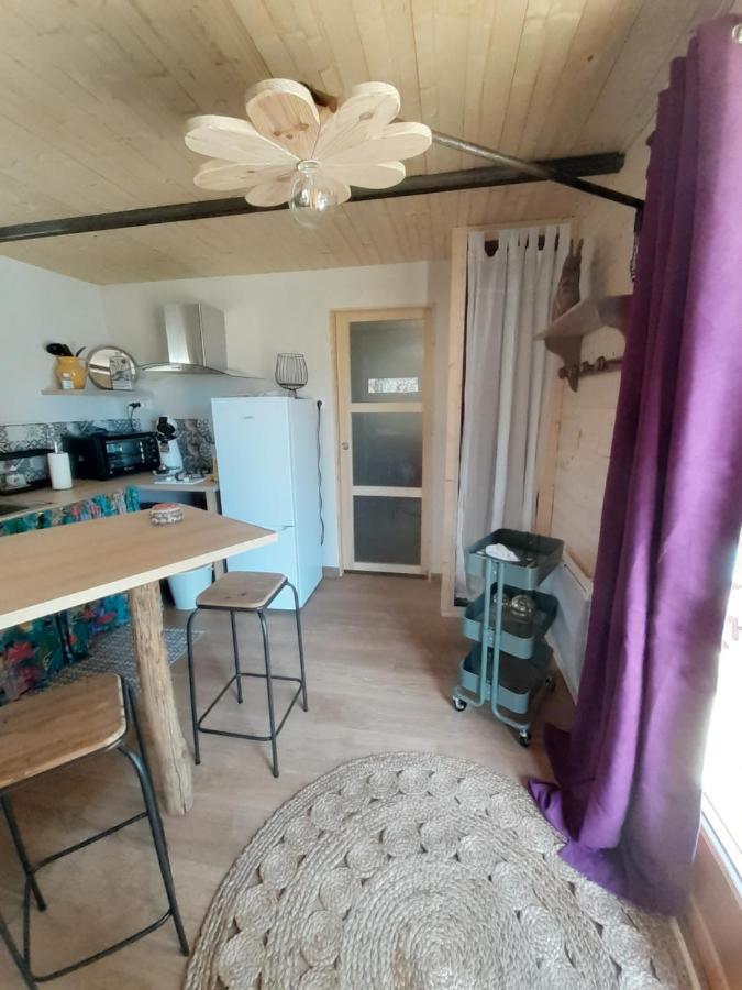 Chalet Grenouille Domaine De La Mamounette Champclause 외부 사진