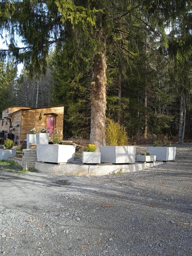 Chalet Grenouille Domaine De La Mamounette Champclause 외부 사진