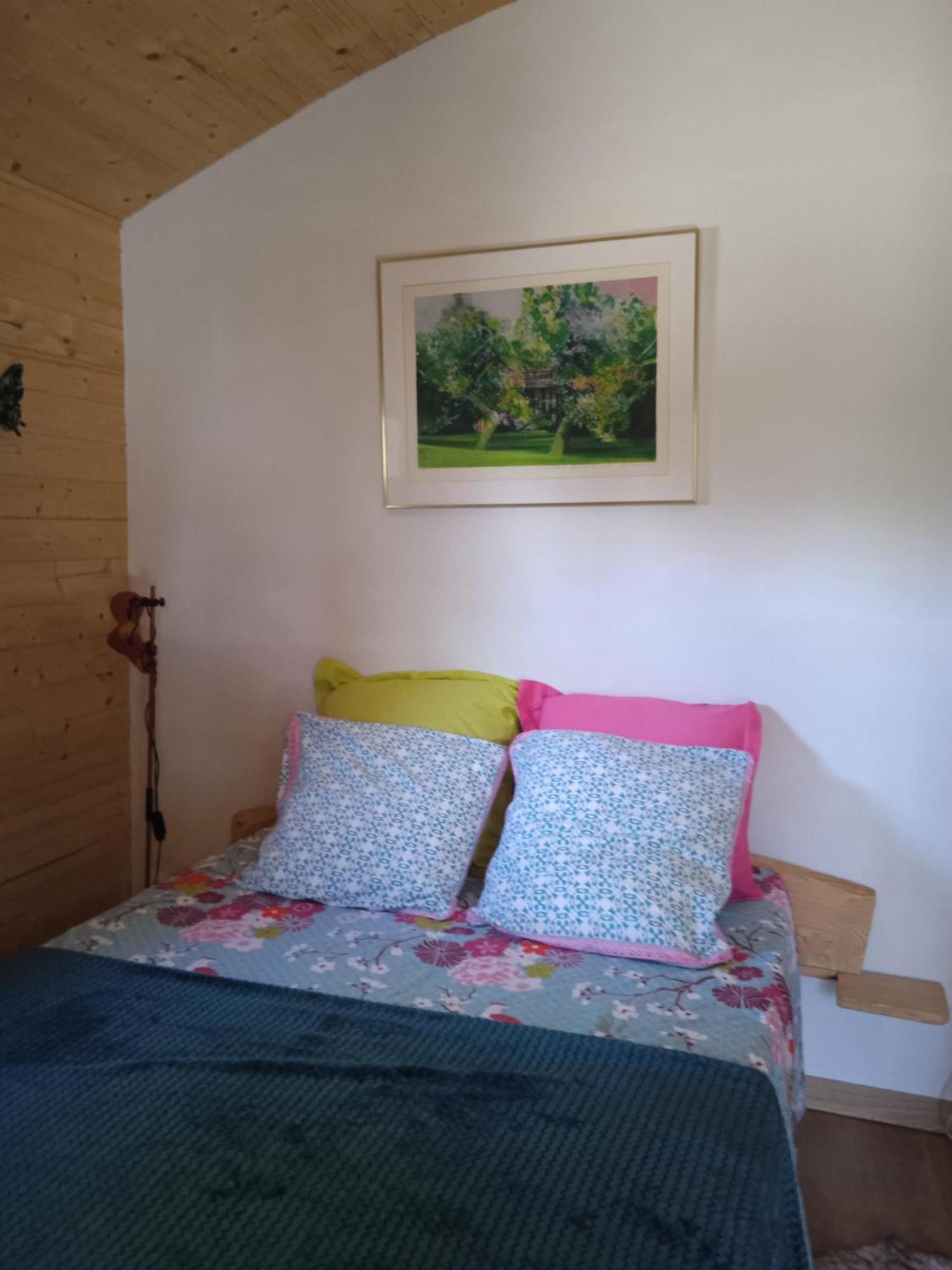 Chalet Grenouille Domaine De La Mamounette Champclause 외부 사진