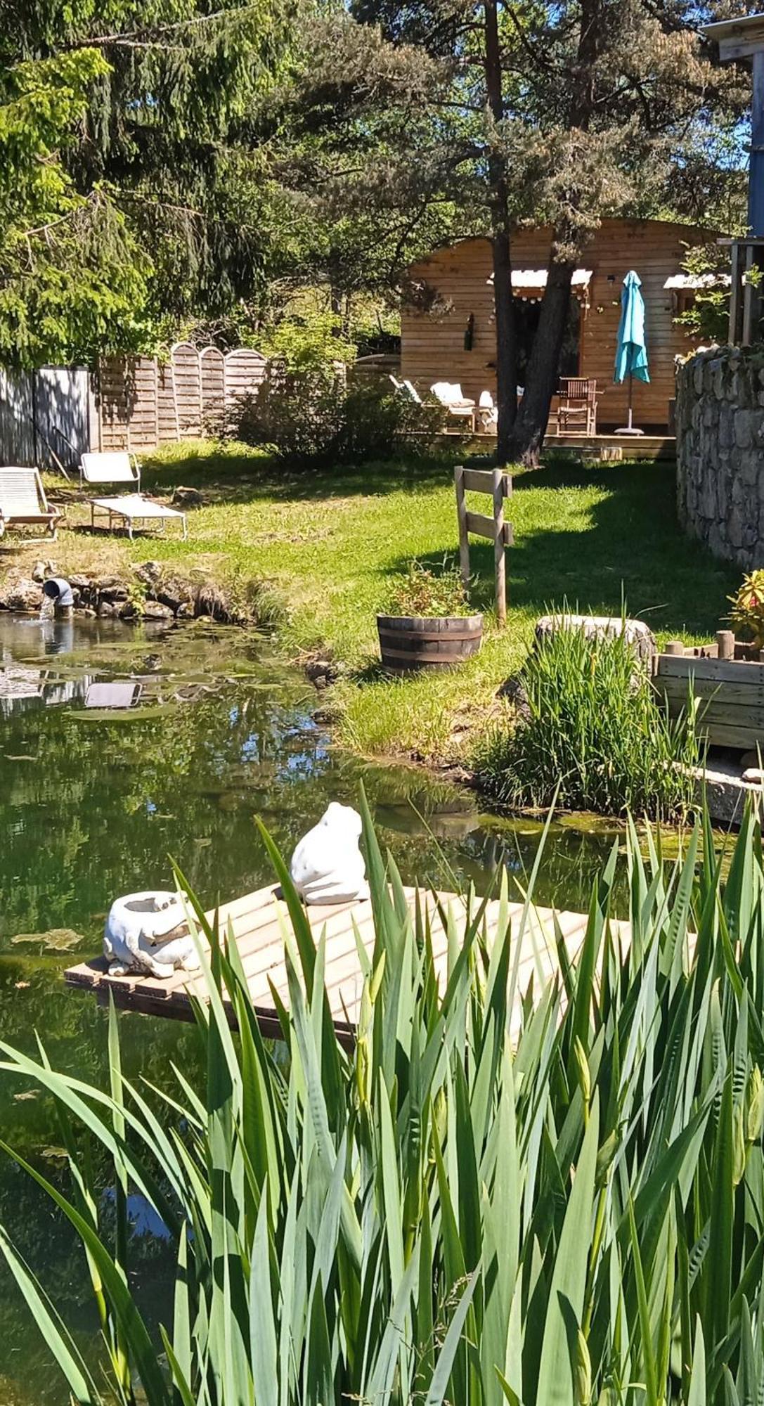Chalet Grenouille Domaine De La Mamounette Champclause 외부 사진