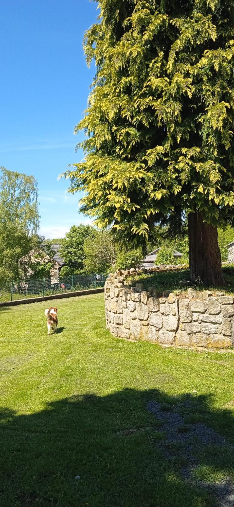 Chalet Grenouille Domaine De La Mamounette Champclause 외부 사진