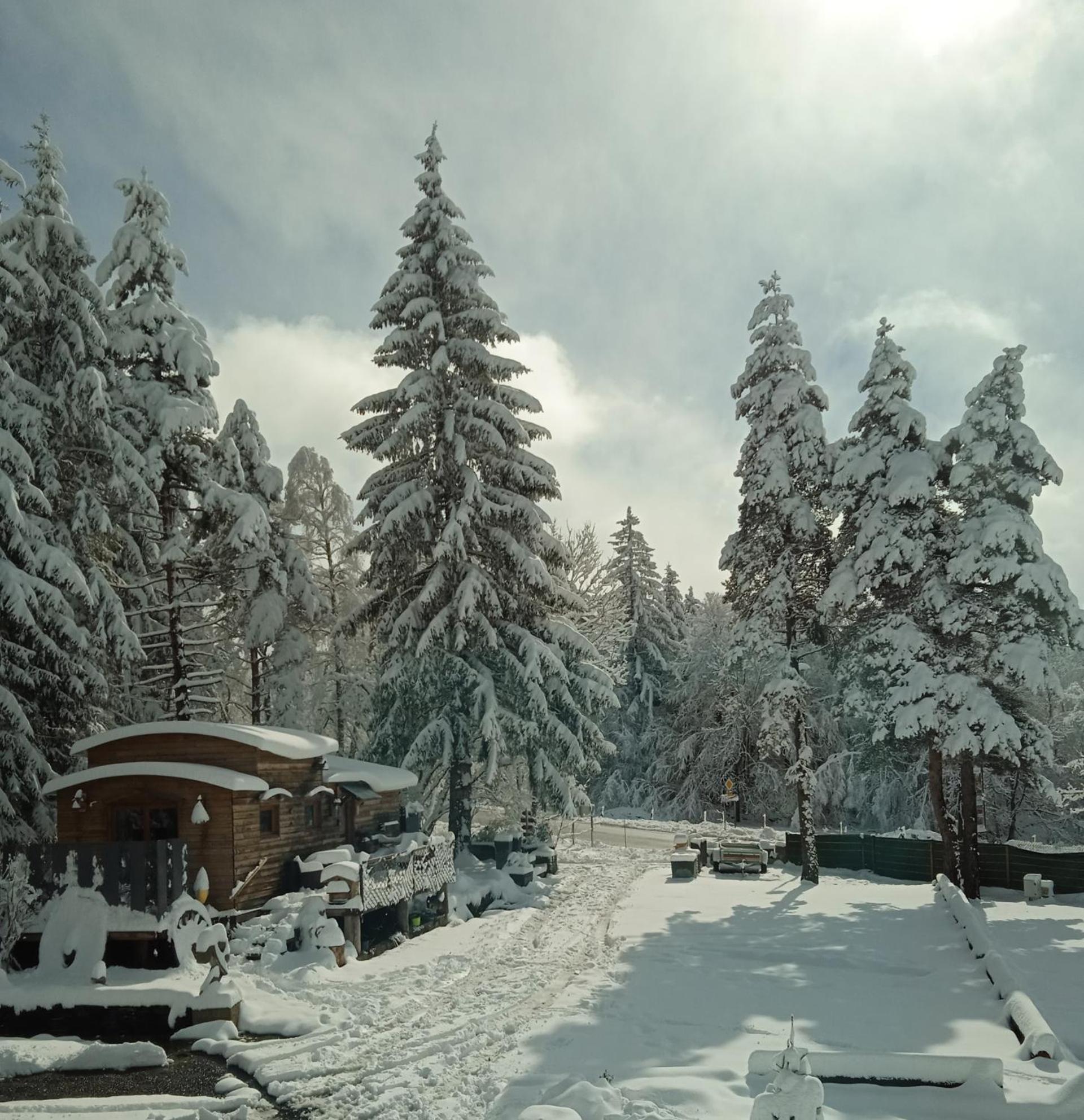 Chalet Grenouille Domaine De La Mamounette Champclause 외부 사진