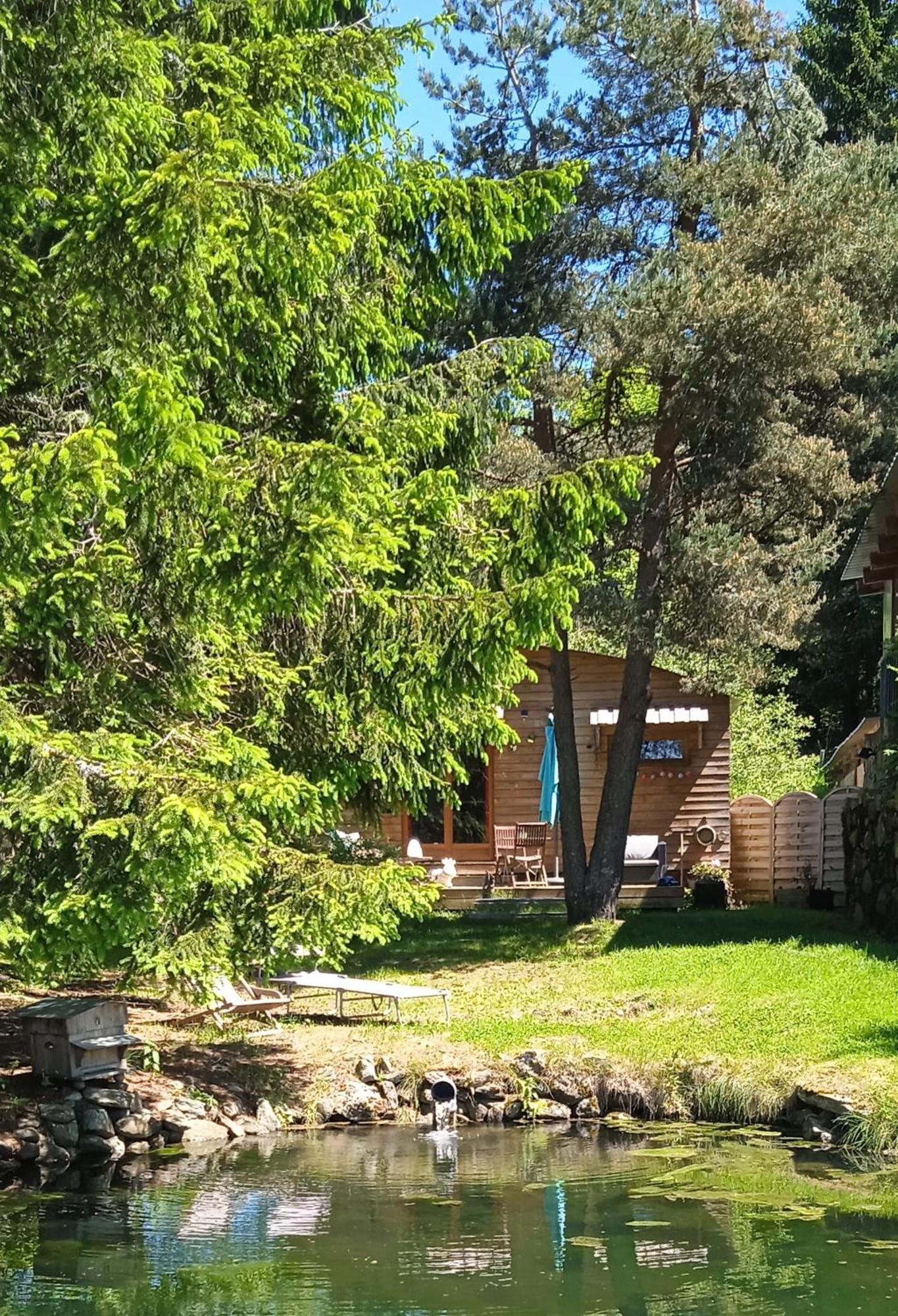 Chalet Grenouille Domaine De La Mamounette Champclause 외부 사진