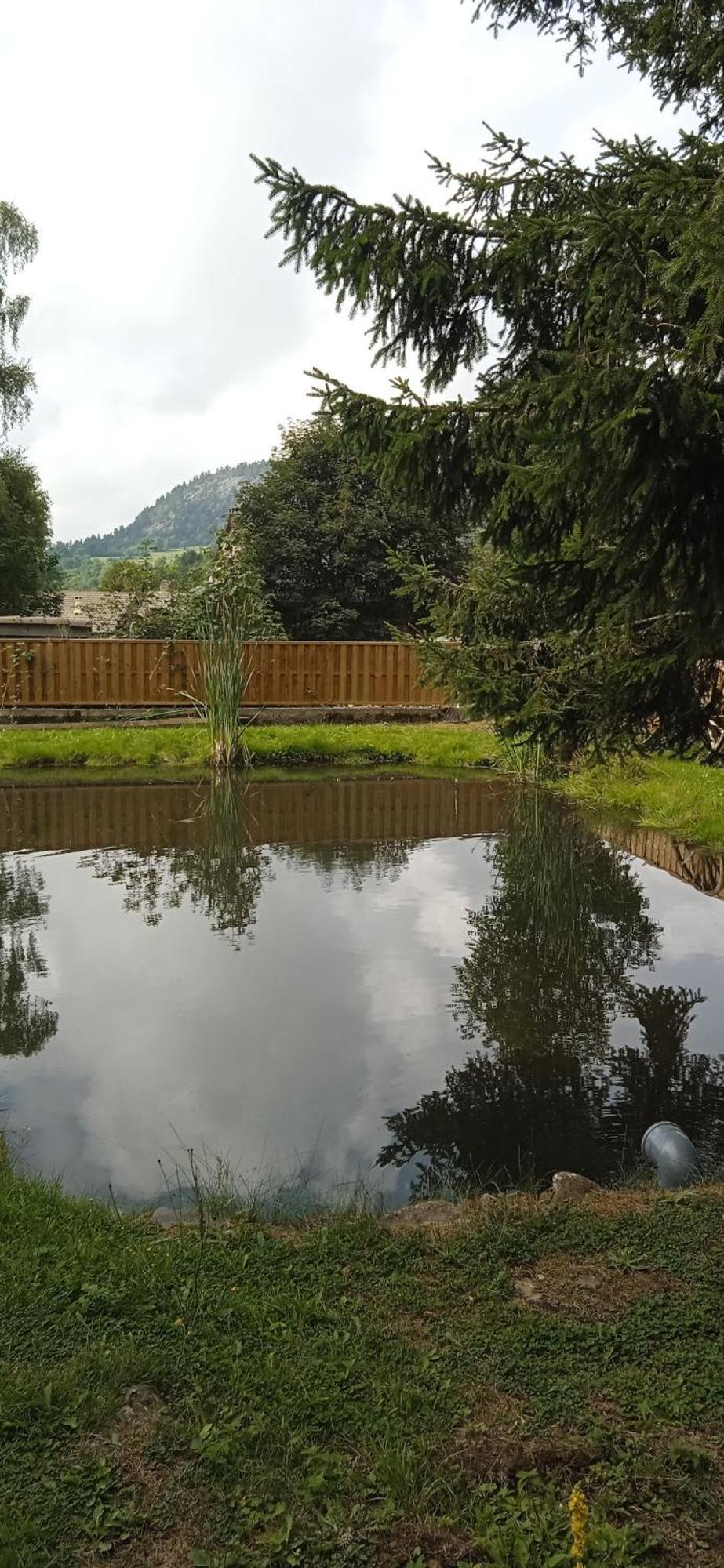 Chalet Grenouille Domaine De La Mamounette Champclause 외부 사진