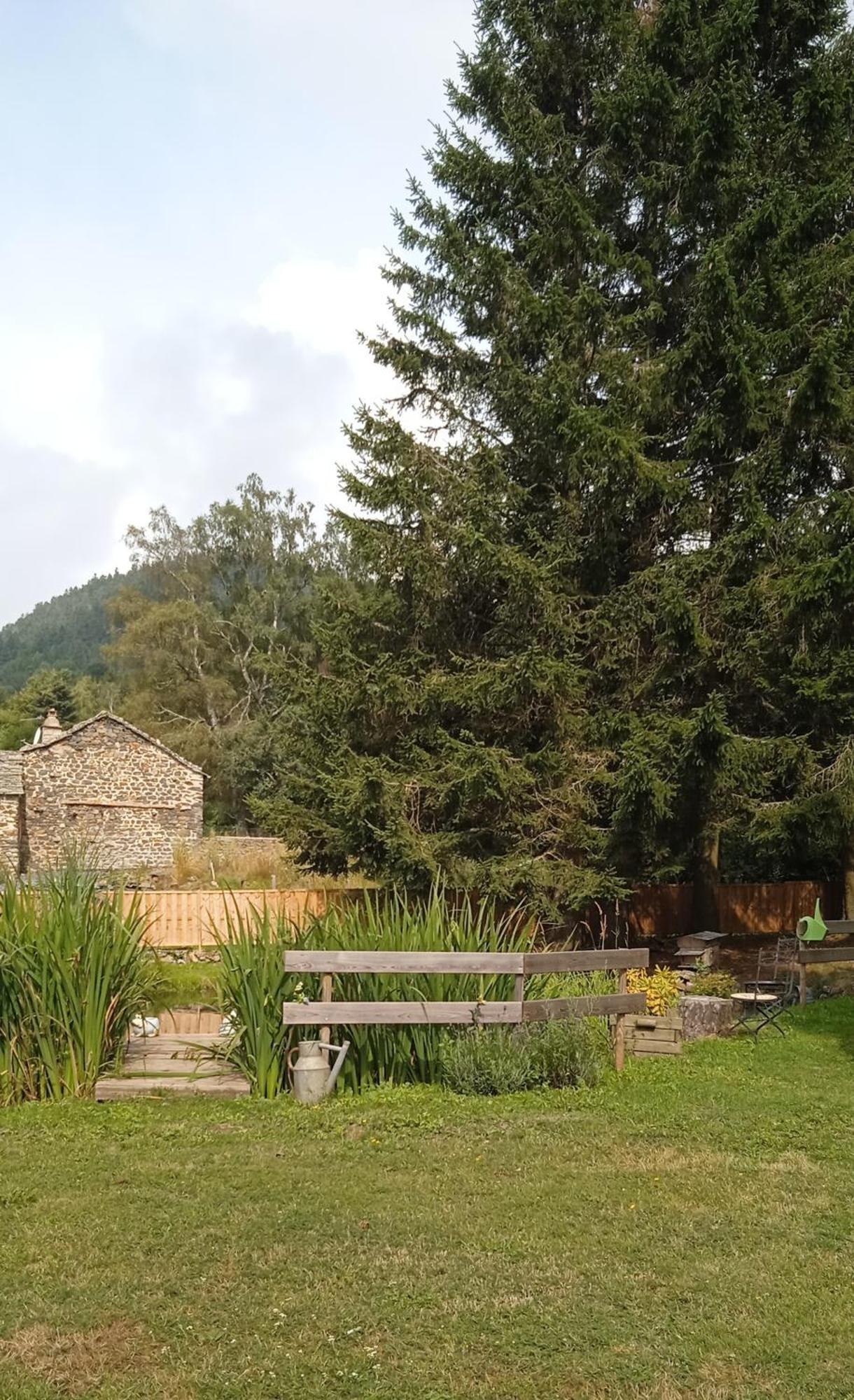 Chalet Grenouille Domaine De La Mamounette Champclause 외부 사진