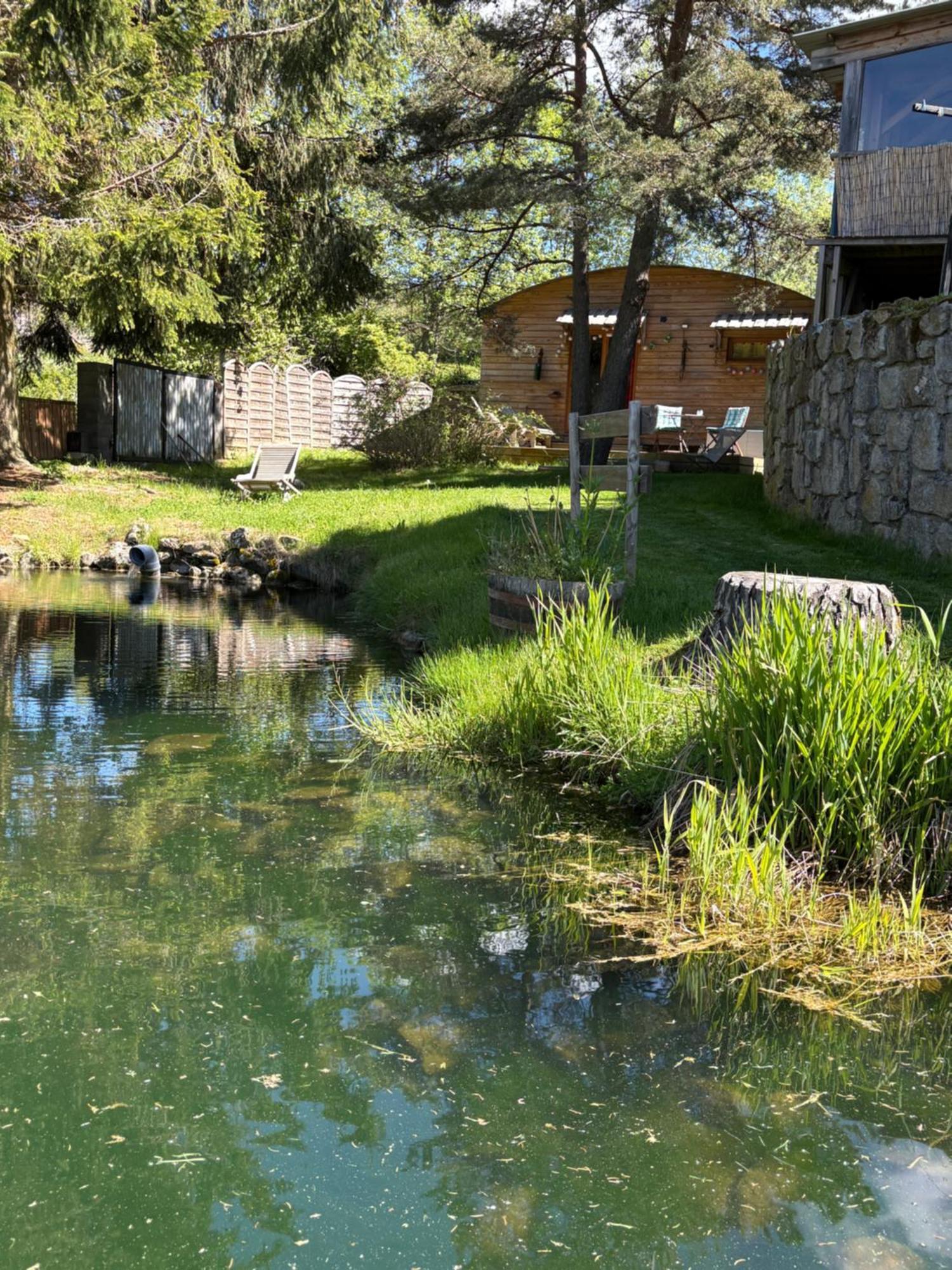 Chalet Grenouille Domaine De La Mamounette Champclause 외부 사진